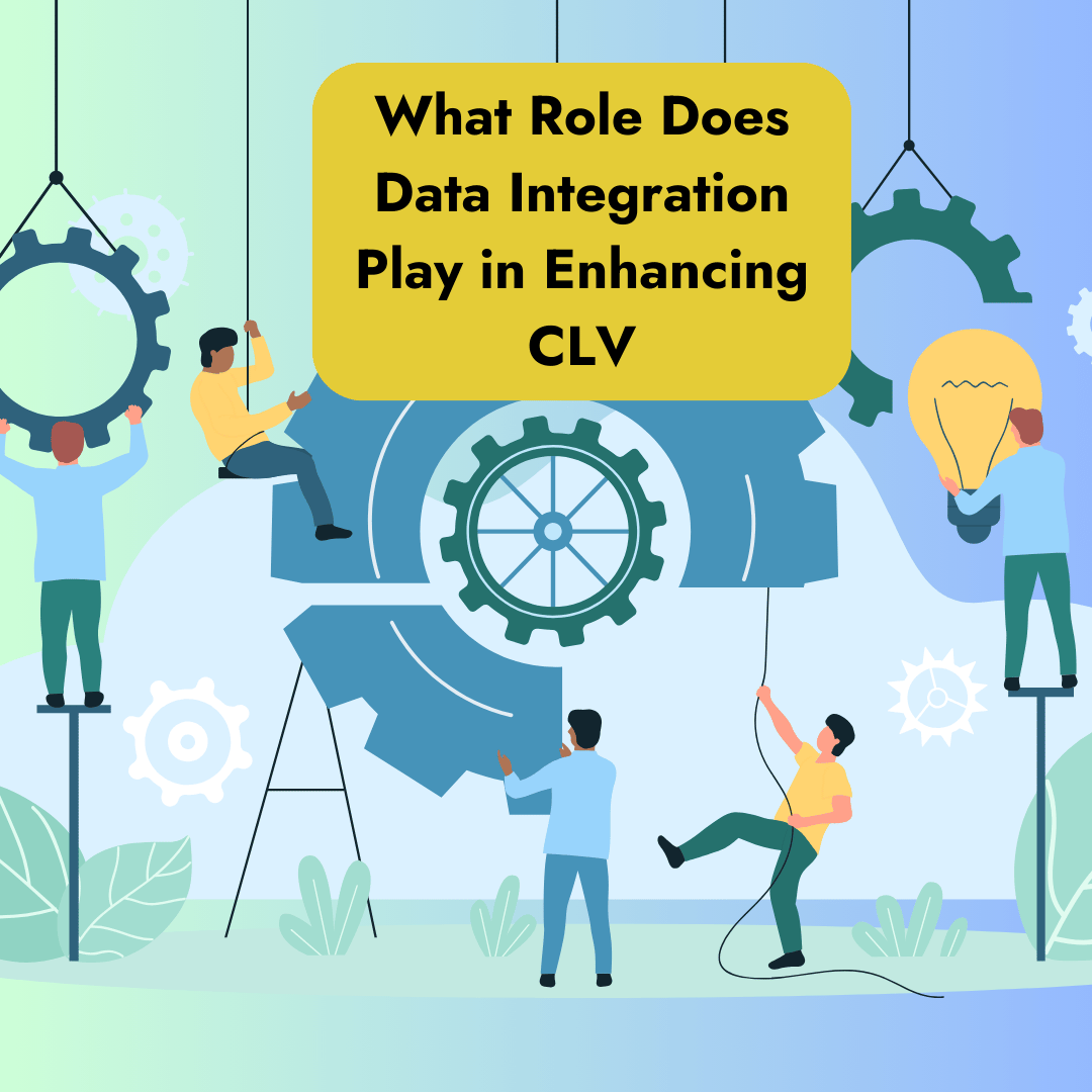 role of data integration in maxsimizing CLV